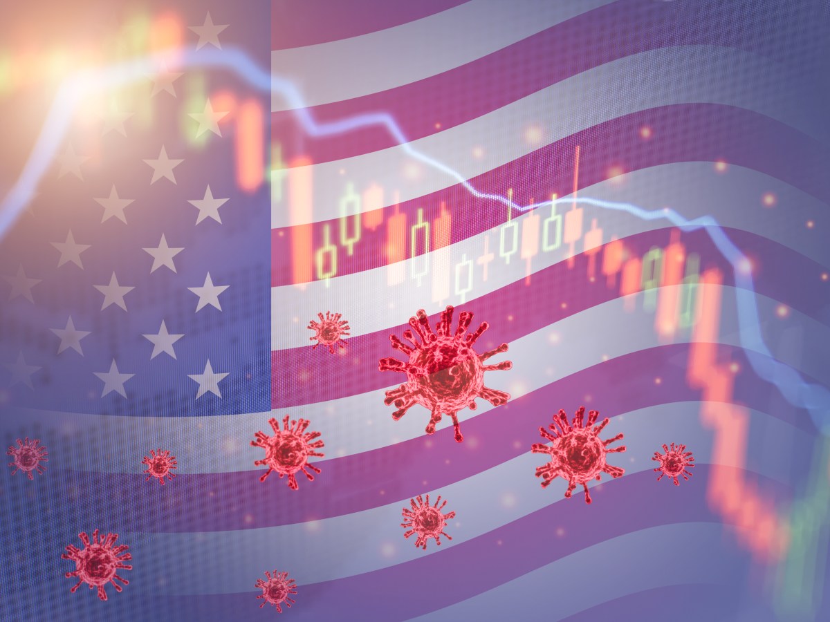 Alert!  America, WE the People have Elected a New Leader, in the Midst of the COVID-19&nbsp;Surge